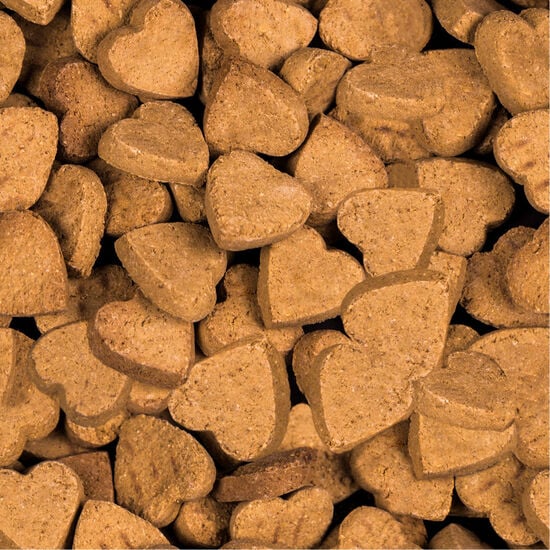 Oven-Baked Gâteries Pour Chien Sans Grains - Saumon Avec Fruits Et Légumes