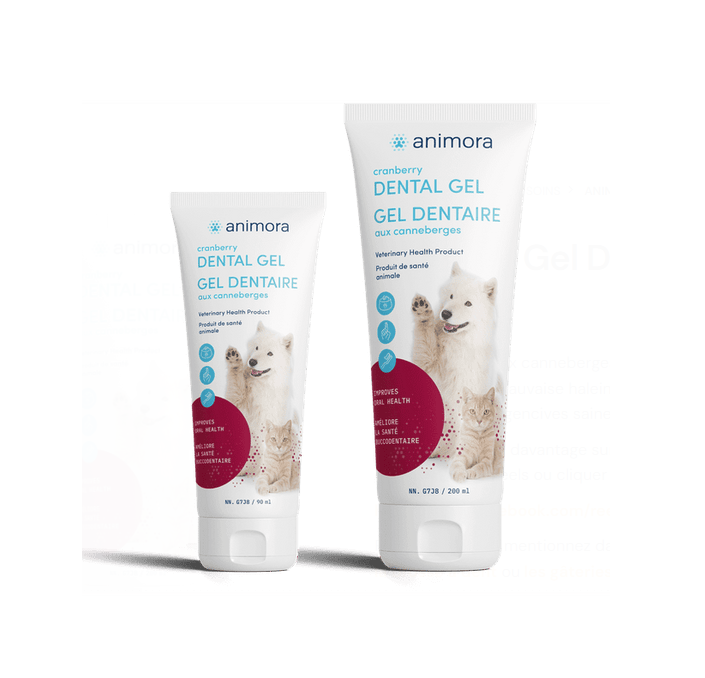 Animora Gel Dentaire