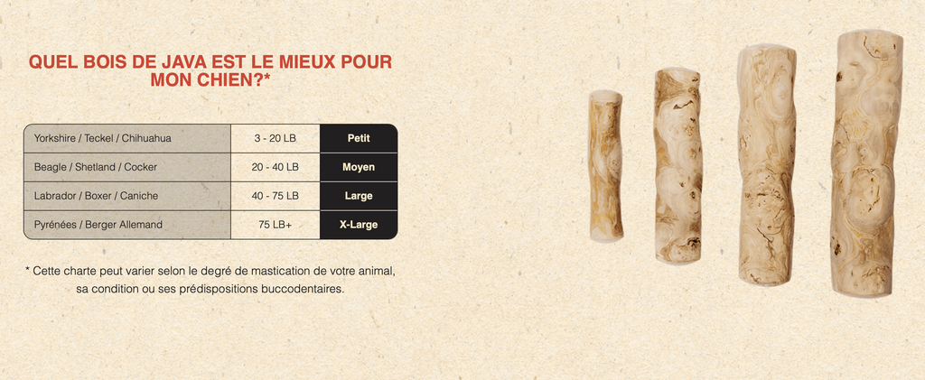 Dentler Bois de Java