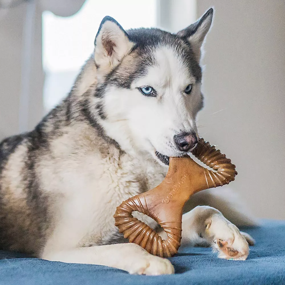 Benebone Dental Chew