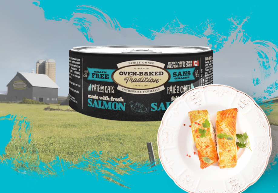 Oven-Baked Pâté Au Saumon Sans Grains Chat Adulte 155 g