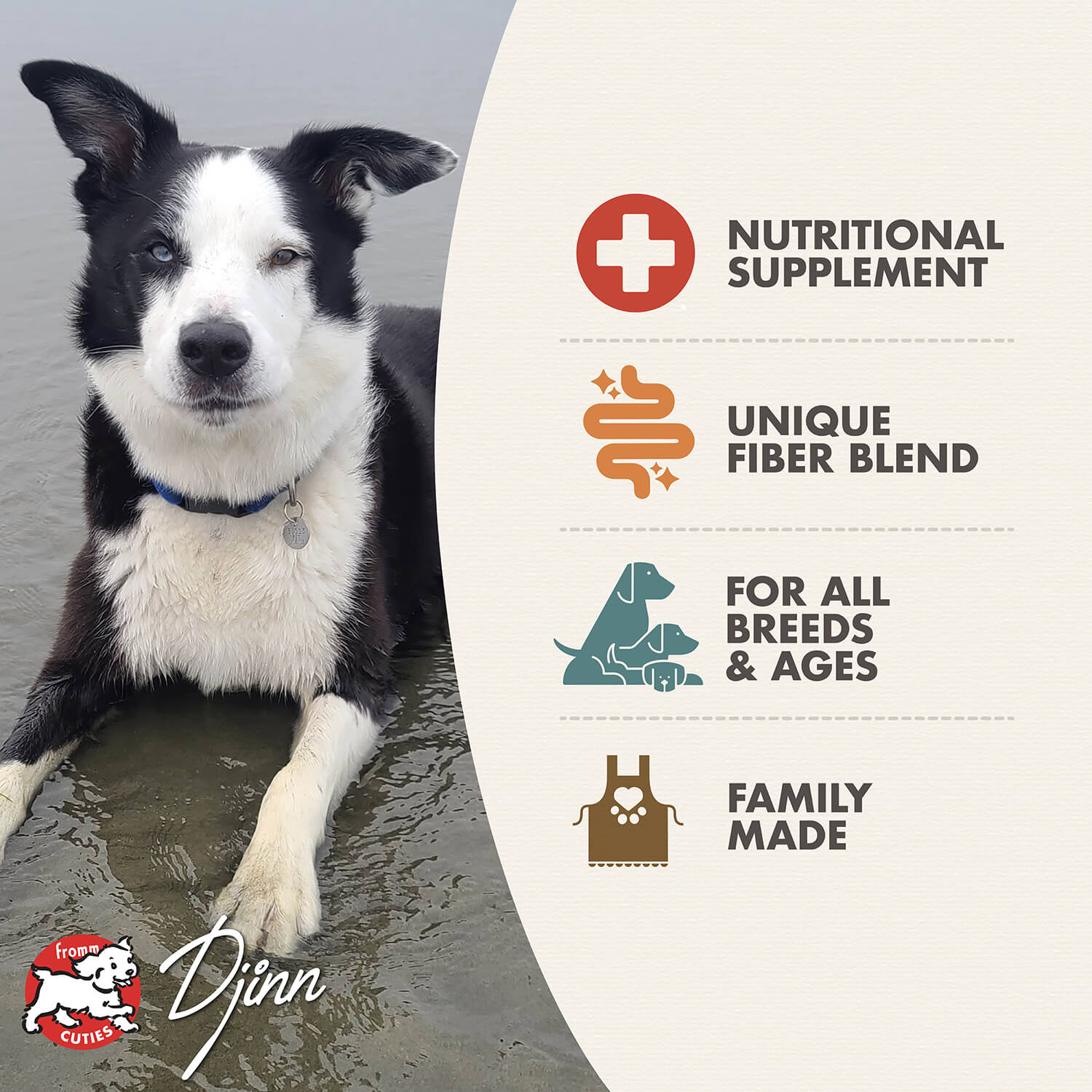 Fromm Support Digestif Supplément Pour Chien Poisson 345 g