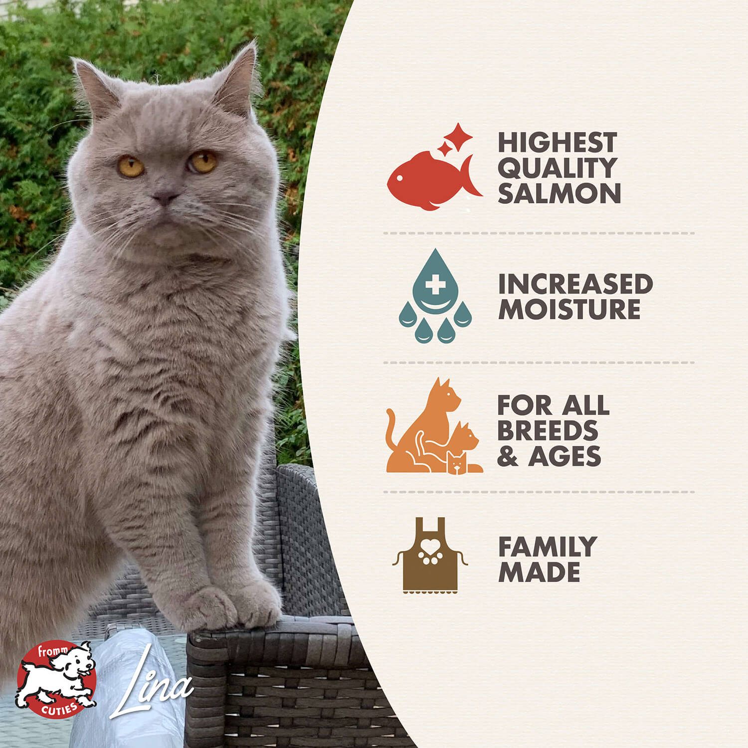 Fromm PurrSnickety Paté Au Saumon Chat 155 g