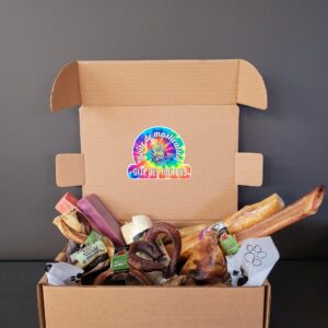 Boite De Mastication Chiot