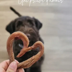 Bully Stick-Coeur