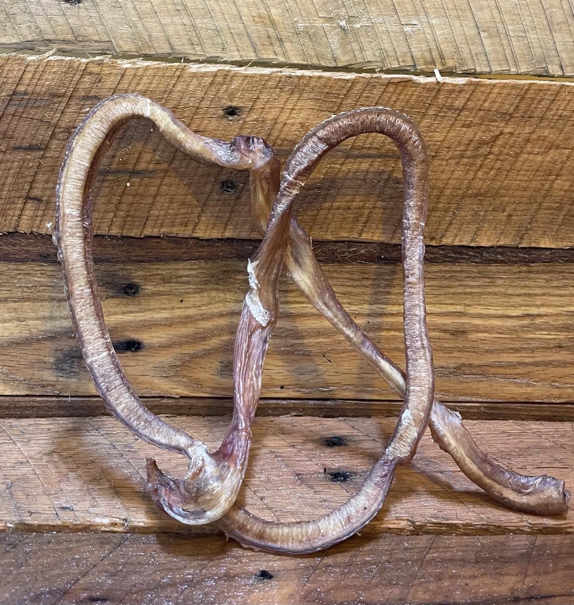 Bully Stick-Pretzel