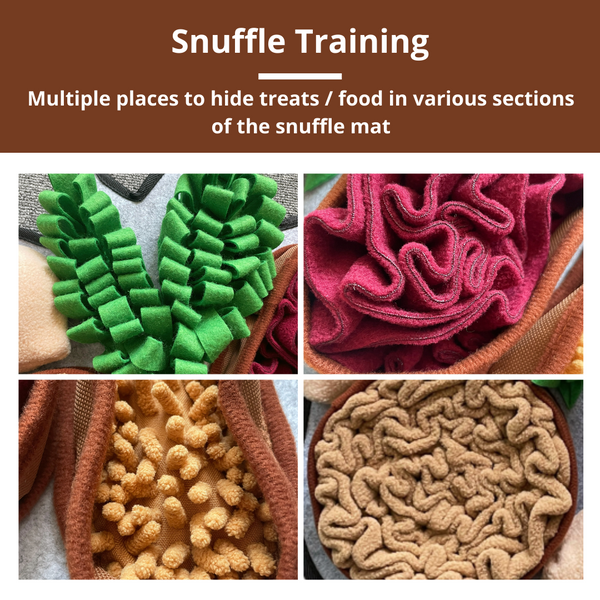PawzNDogz Snuffle Mat Tapis Jeu Casse-Tête Chonky Peanuts