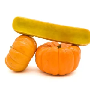 Fromage De Yak Citrouille