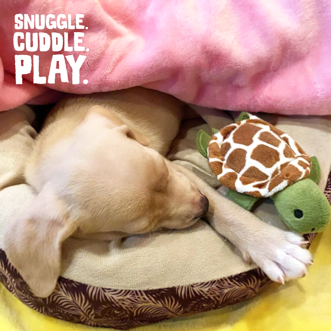Snug Arooz Peluche Bébé Shelldon