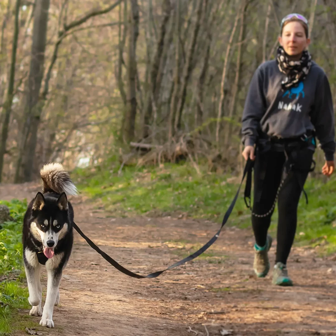 Longe Pour Chiens | 15'