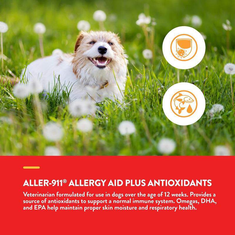 Aller-911 Allergy Aid Plus Antioxidants Comprimés Tendres Pour Chiens Et Chats NaturVet, 180 unités