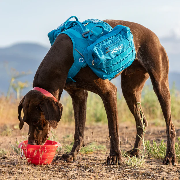 Kurgo Bol Pliable Pour Les Aventures
