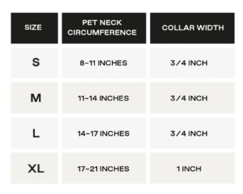 Collier Imperméable DexyPaws Couleur Vert sauge