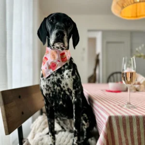 Foulard Réversible Jack & Jerry