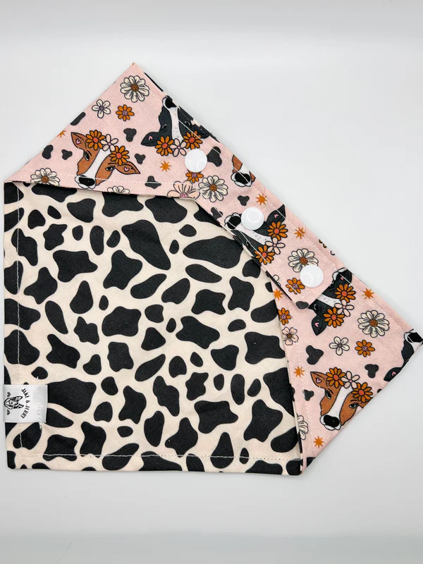 Foulard Réversible Jack & Jerry
