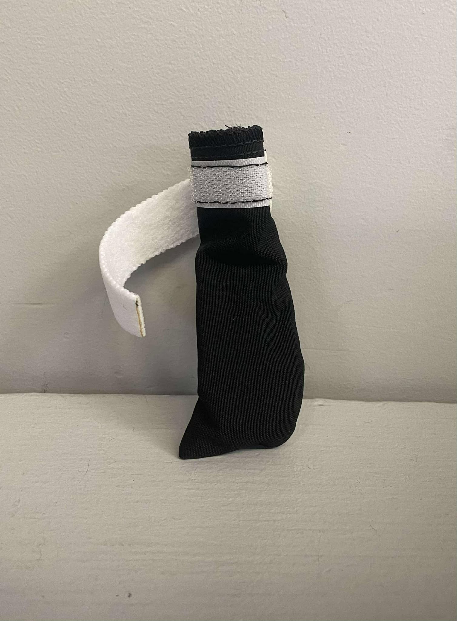 Botte Pour Chien Surface Enneigée