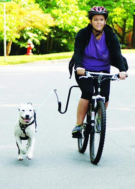 Springer Exerciseur D'Animaux Pour La Course, La Marche, Le Jogging- Ajustement Universel Pour Vélos