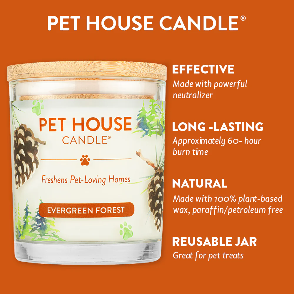 PetHouse Chandelle Forêt Verdoyante
