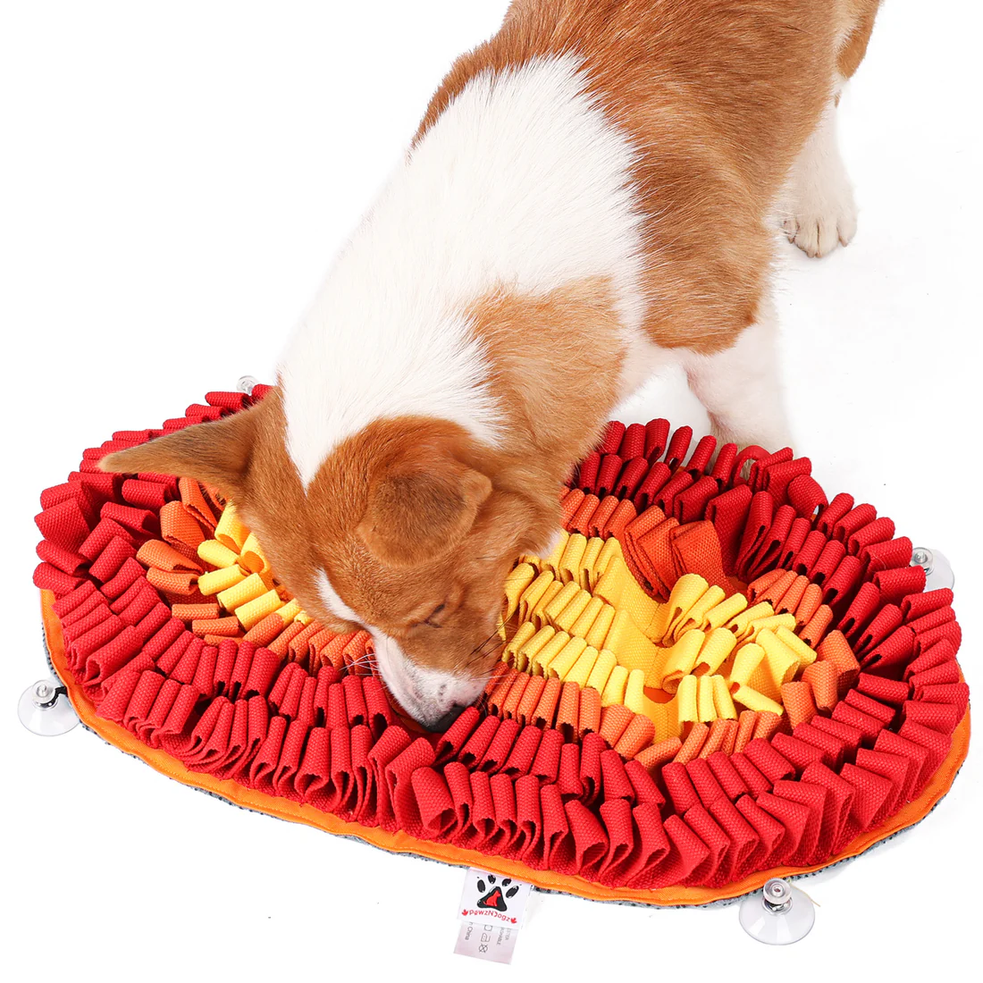 PawzNDogz Snuffle Mat Tapis Jeu Casse-Tête Feu & Glace