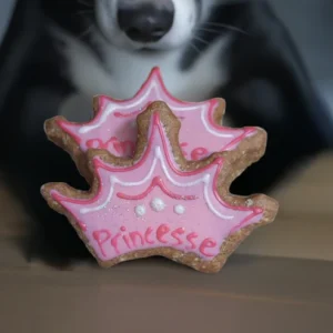 Couronne Pour Nos Princesses Et Nos Princes Chiens Miouf