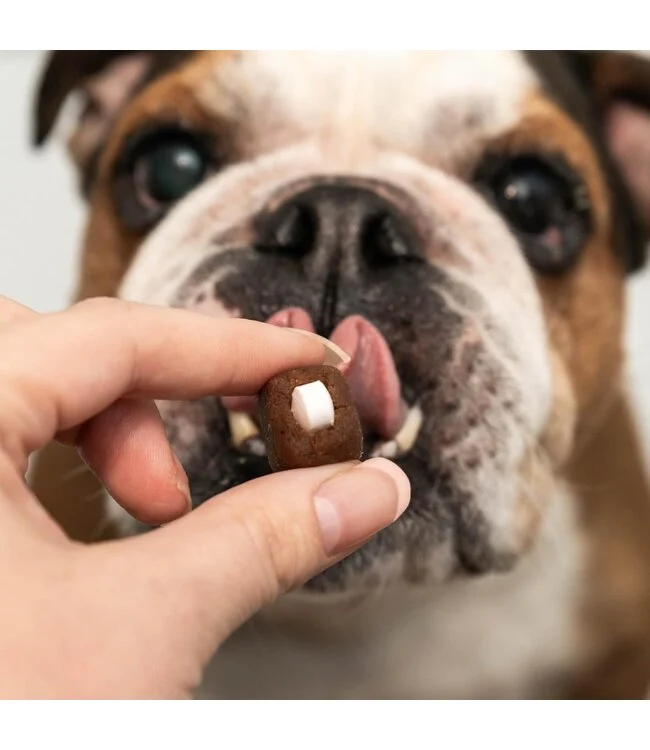 Pill Partners- Cache Médicaments