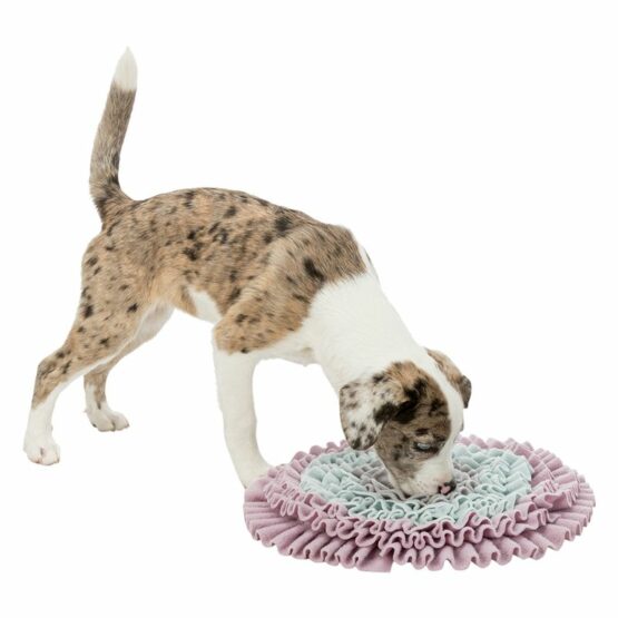 Tapis De Fouille Junior Trixie