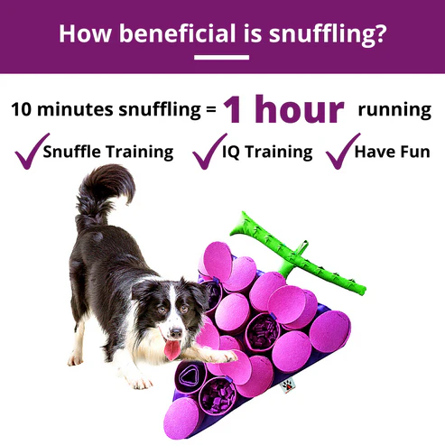 PawzNDogz Snuffle Mat Tapis Jeu Casse-Tête Raisin