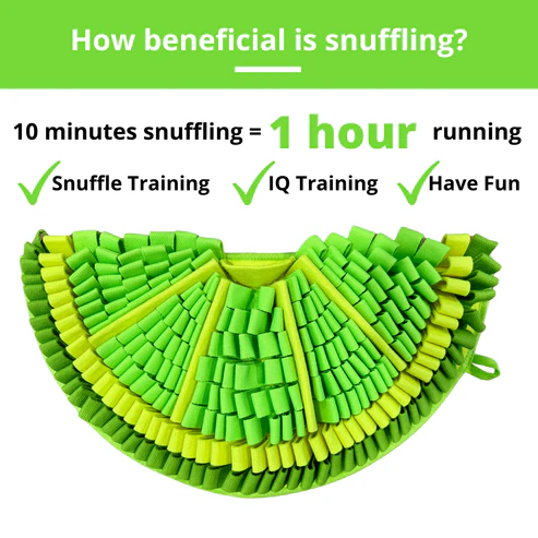 PawzNDogz Snuffle Mat Tapis Jeu Casse-Tête Lime