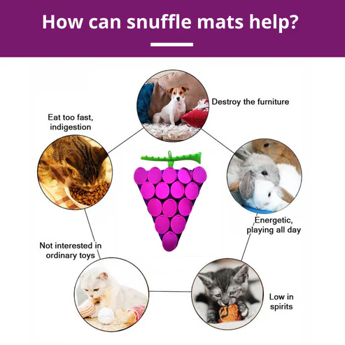 PawzNDogz Snuffle Mat Tapis Jeu Casse-Tête Raisin