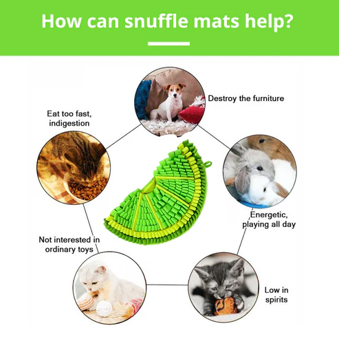 PawzNDogz Snuffle Mat Tapis Jeu Casse-Tête Lime
