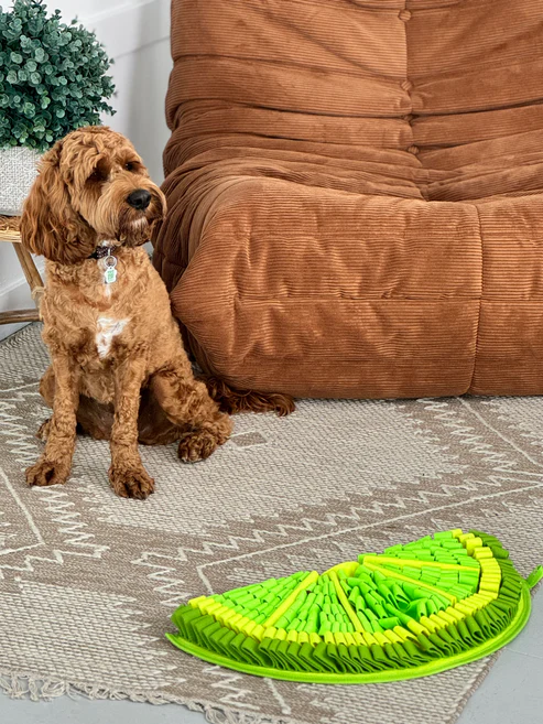 PawzNDogz Snuffle Mat Tapis Jeu Casse-Tête Lime