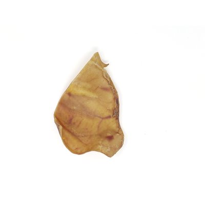 Oreille de porc régulière