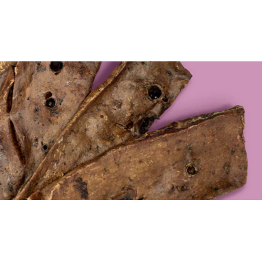 Crumps'Naturals Côtelettes d'agneau