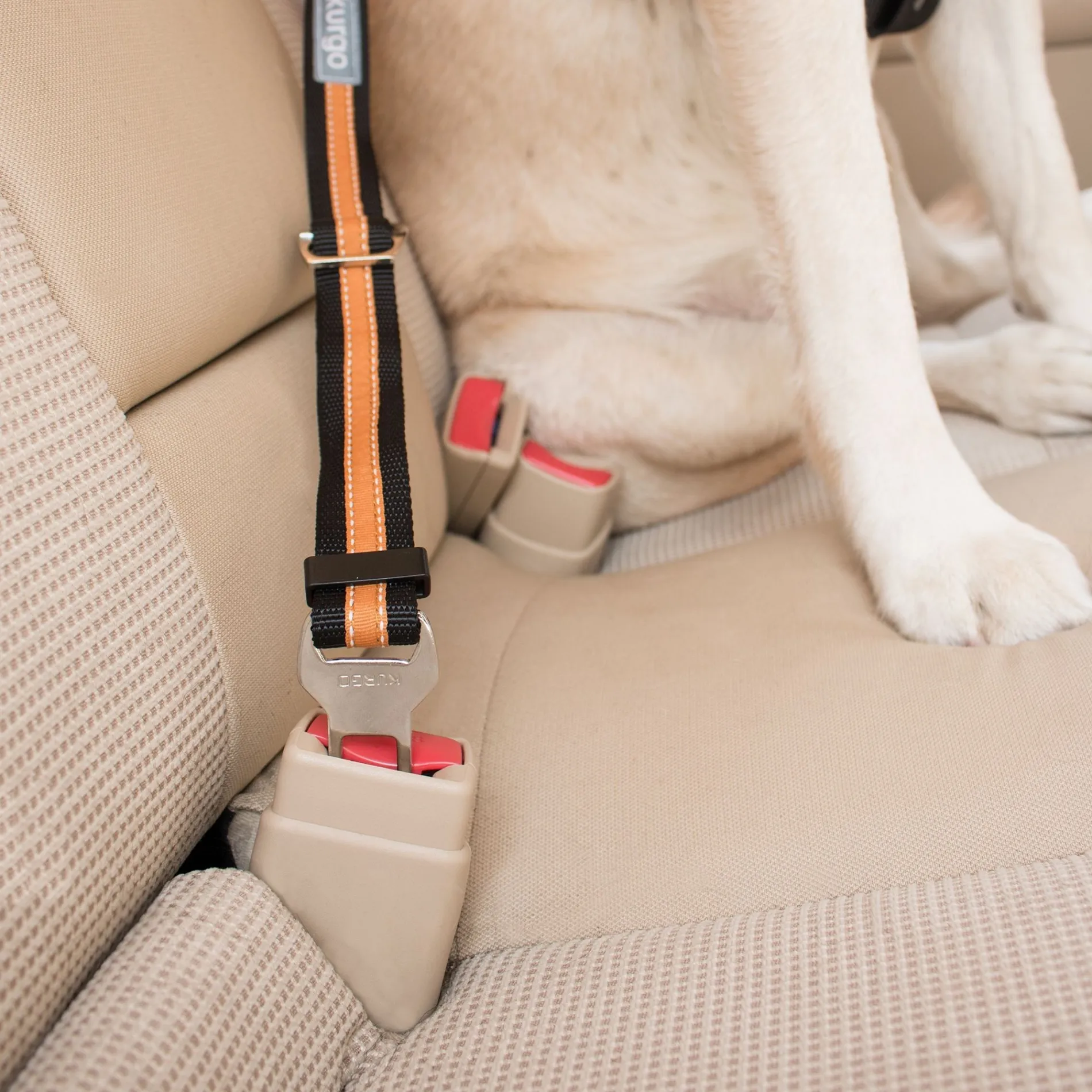 Attache De Sécurité Ceinture Direct Seatbelt Kurgo