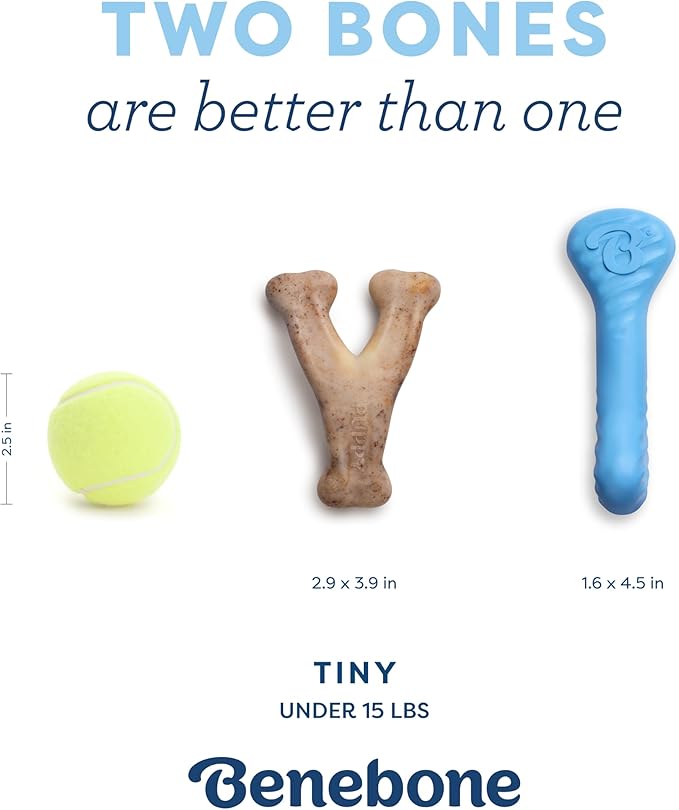 Benebone Puppy Pack - Natural Rubber Bone & Wishbone Bacon