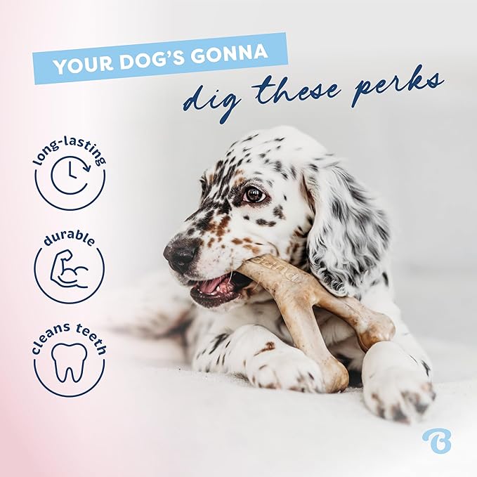 Benebone Puppy Pack - Natural Rubber Bone & Wishbone Bacon