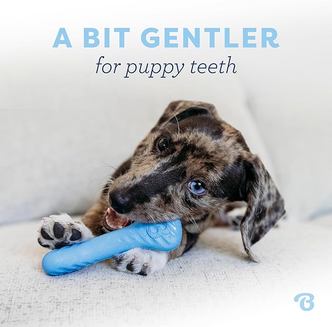 Benebone Puppy Pack - Natural Rubber Bone & Wishbone Bacon