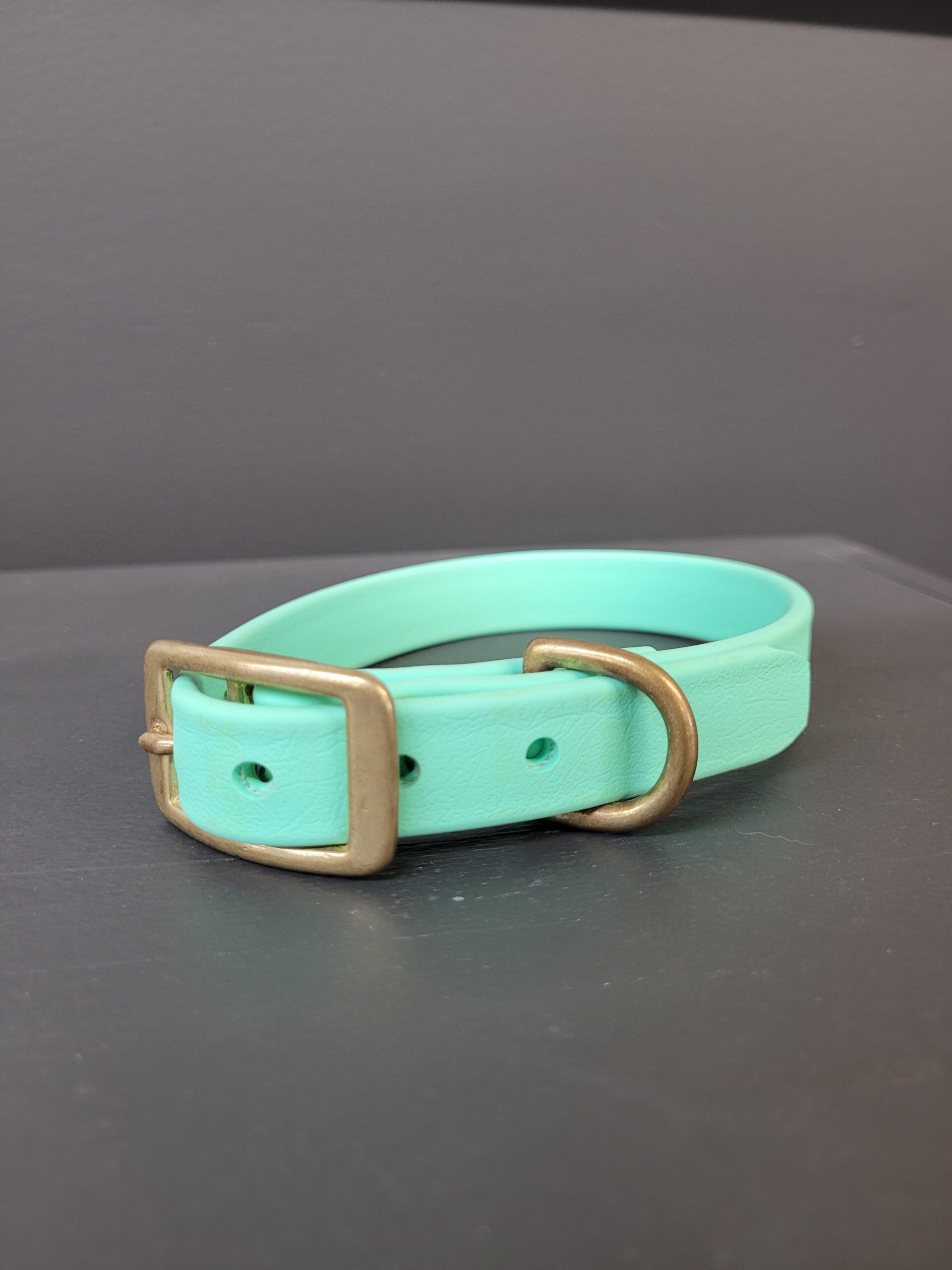 Collier Urra En Biothane Turquoise