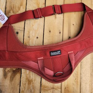 Harnais Animalin Automne Bourgogne