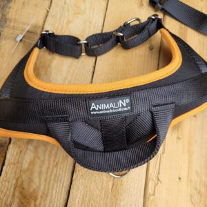 Harnais Animalin Classic Orange