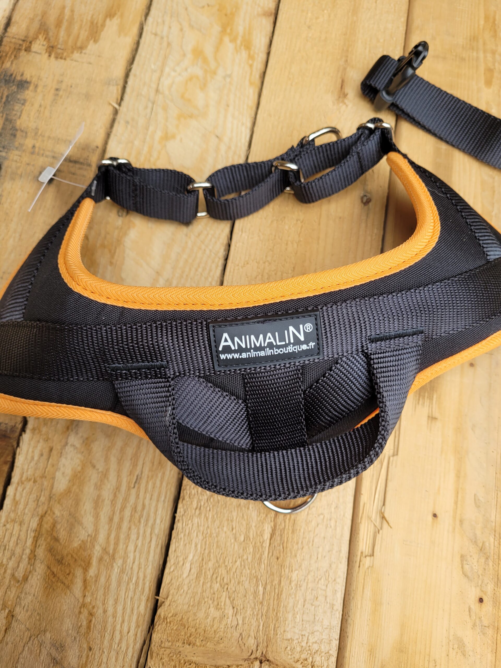 Harnais Animalin Classic Orange