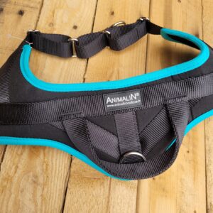 Harnais Animalin Classic Bleu