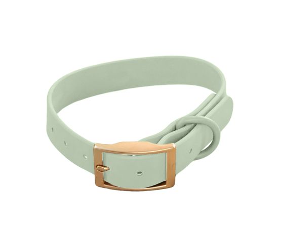 Collier Imperméable DexyPaws Couleur Vert sauge