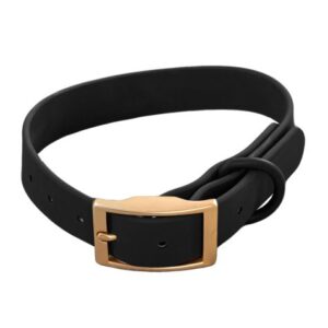 Collier Imperméable DexyPaws Couleur Noir