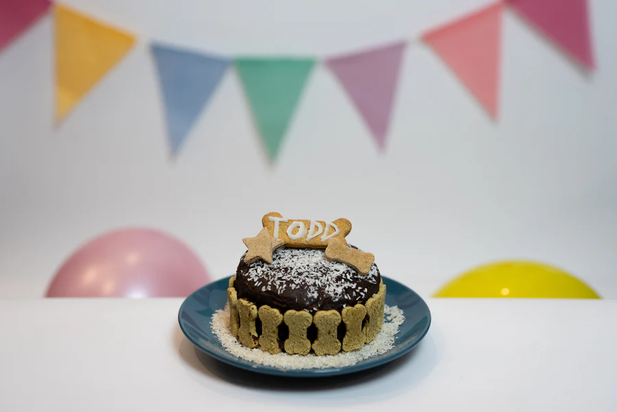 Mélange À Gâteau Pour Chien TODD&PAUL