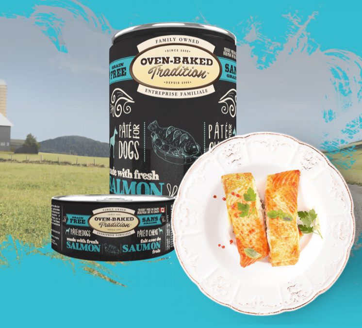 Oven-Baked Nourriture En Conserve Pour Chien, Pâté De Saumon