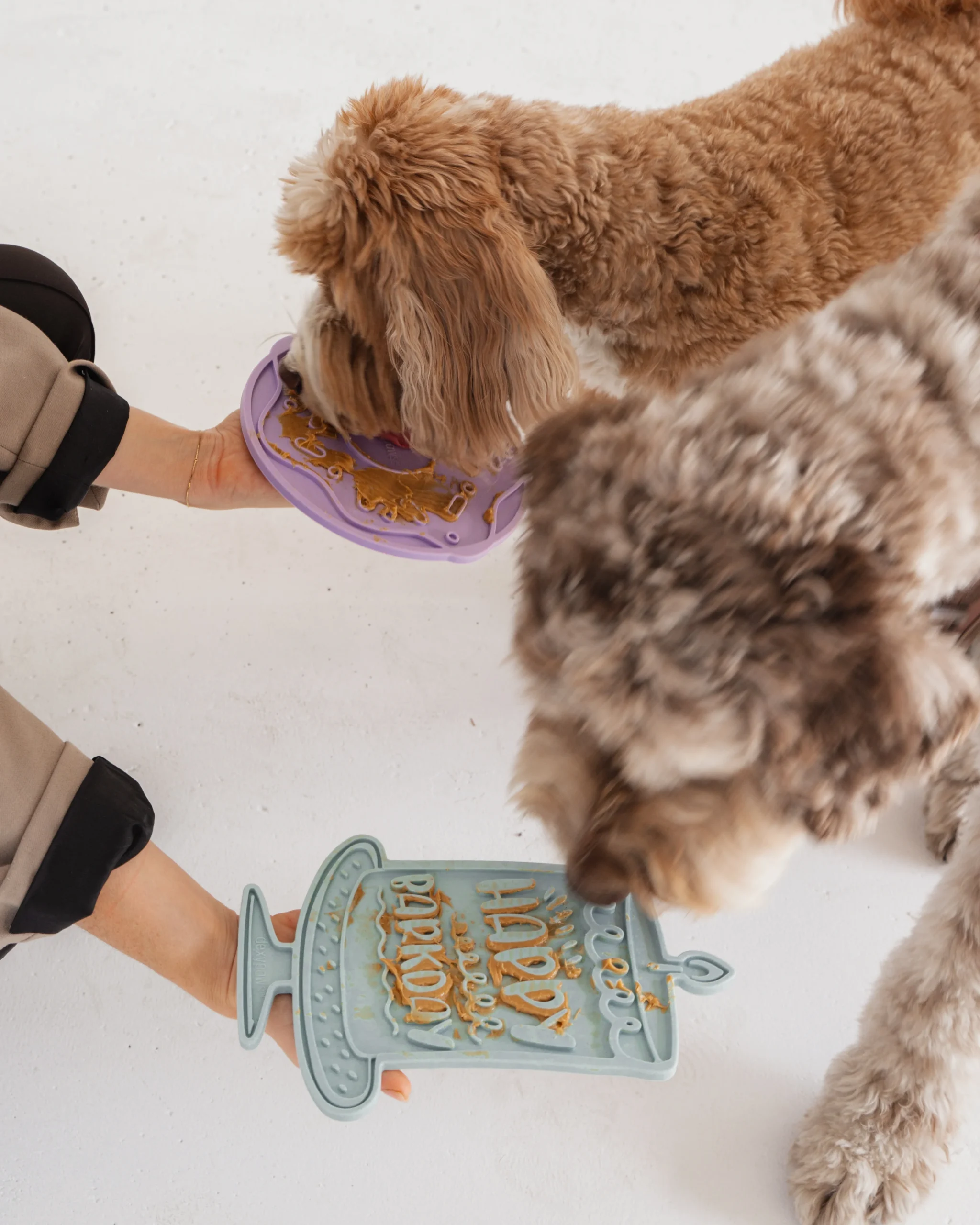 Tapis De Léchage Gâteau Joyeux Anniversaire - Dexypaws