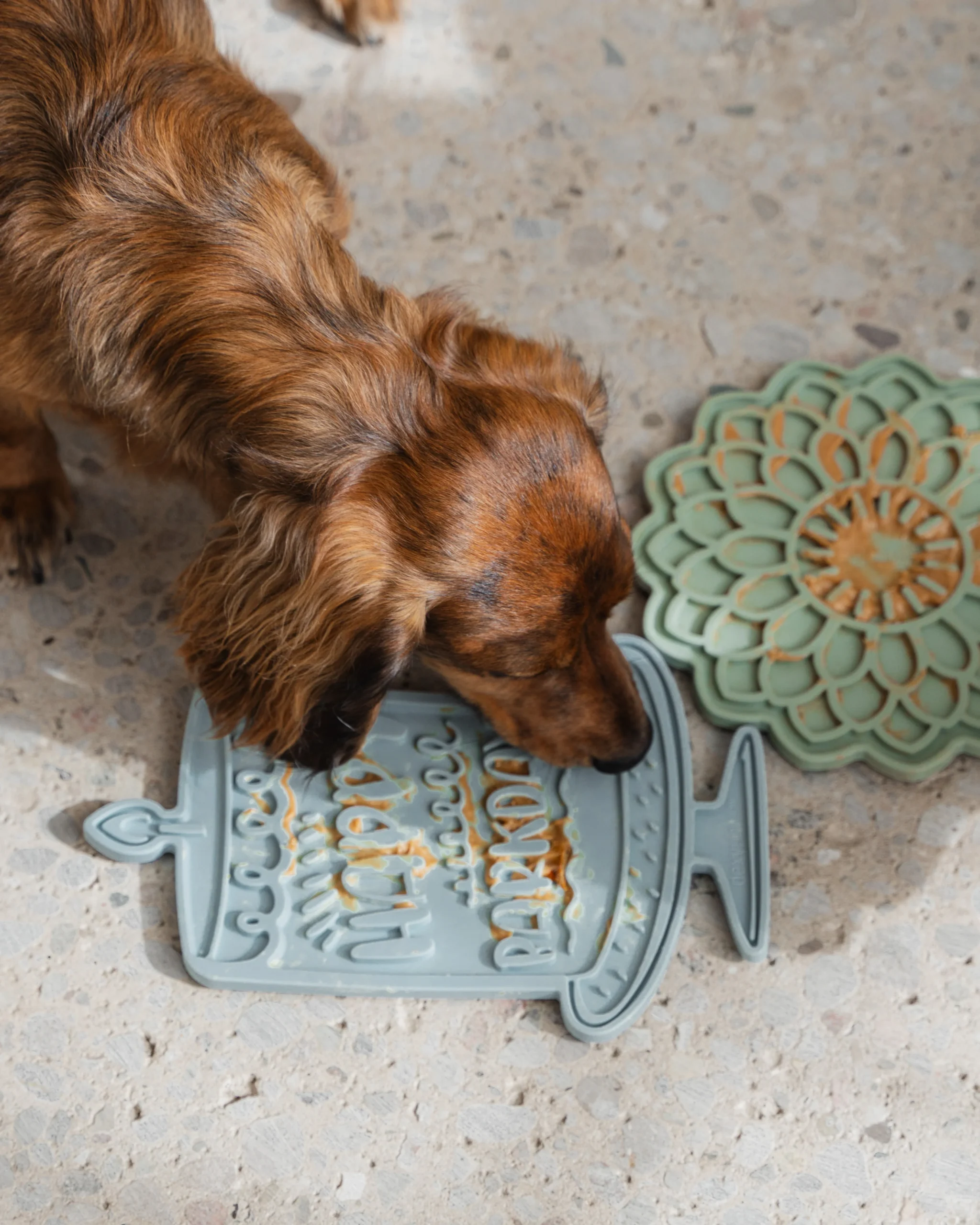 Tapis De Léchage Gâteau Joyeux Anniversaire - Dexypaws