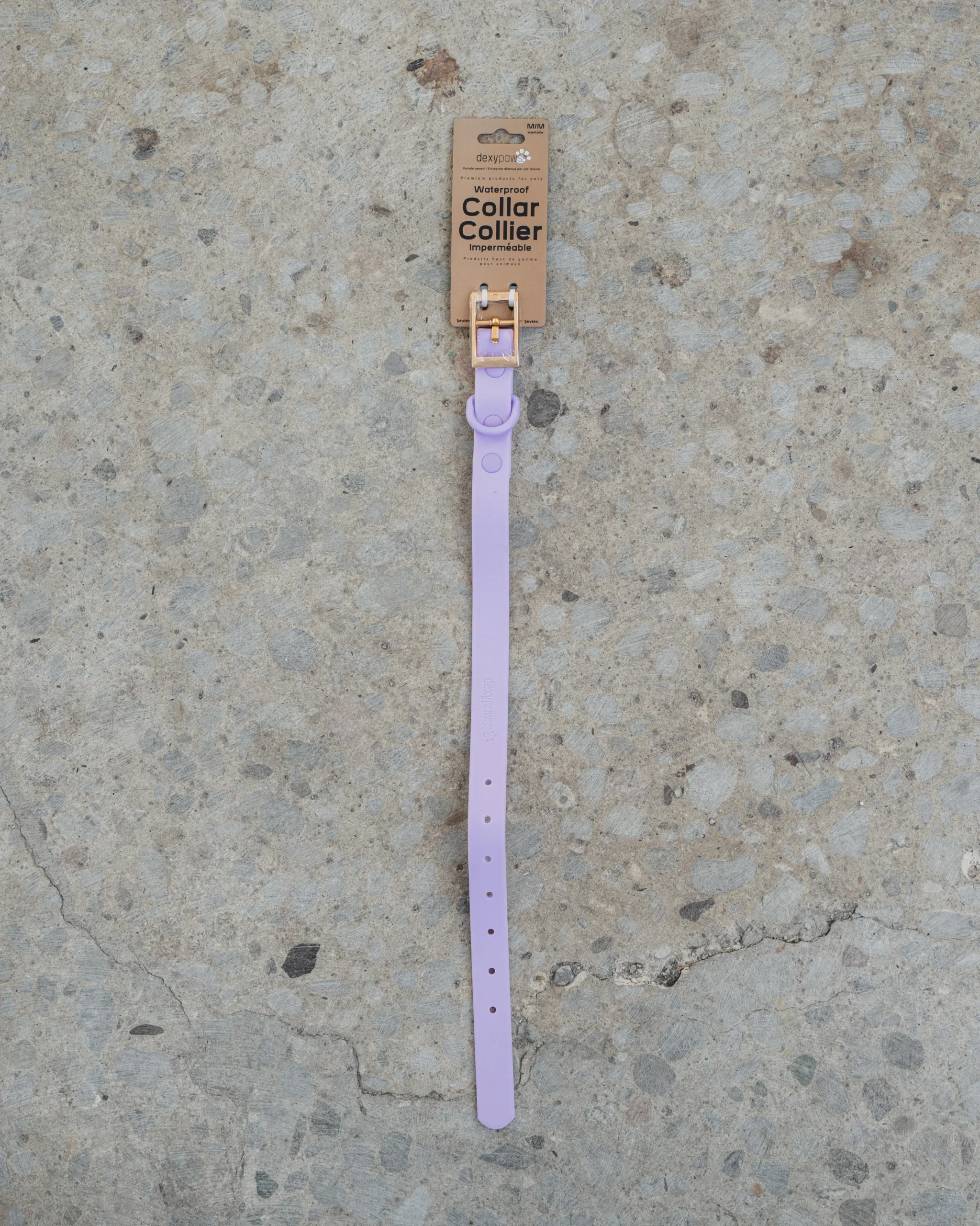 Collier Imperméable Couleur Lilas- DexyPaws