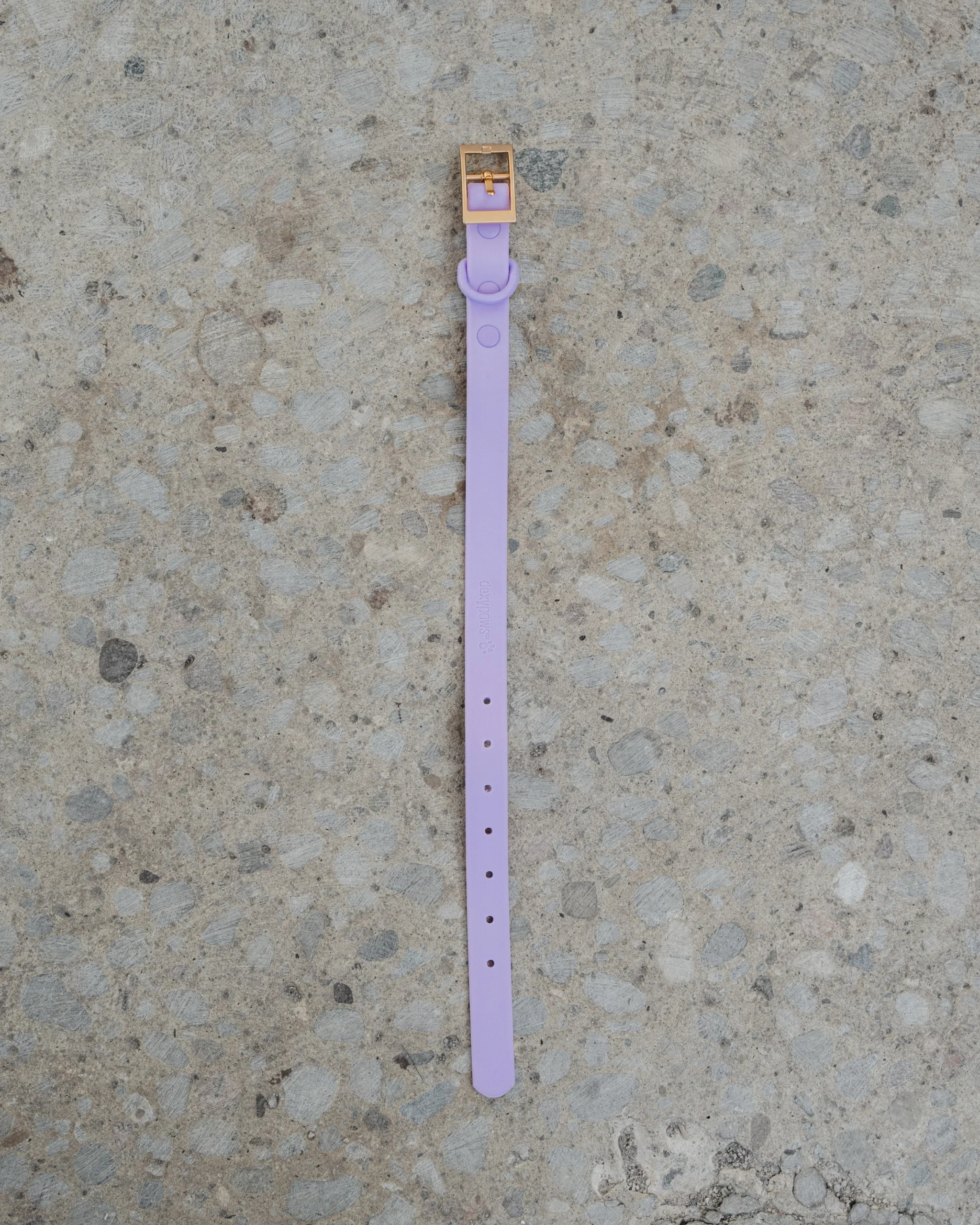 Collier Imperméable Couleur Lilas- DexyPaws